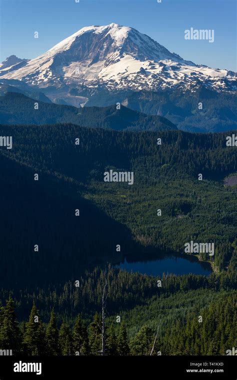 Mountain Portrait Of Mt Rainier Volcano Stock Photo Alamy