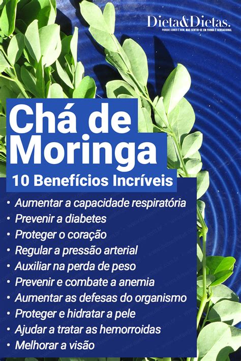 Benefícios do Chá de Moringa Para a sua Saúde Chás medicinais Ervas