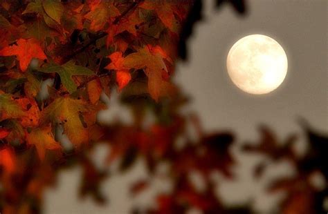 Autumn Moon Wallpapers - Top Free Autumn Moon Backgrounds - WallpaperAccess