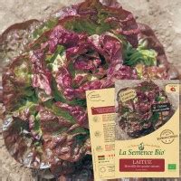 Vente De Graines De Semences Bio Pour Votre Jardin Potager Cologique