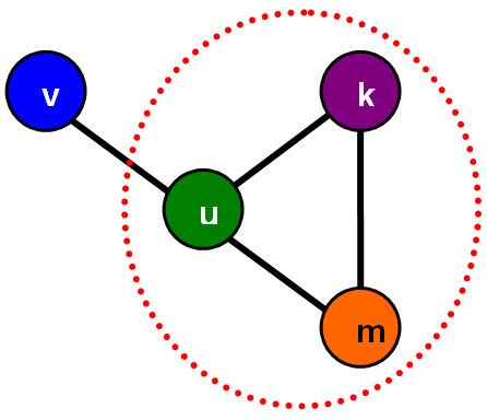 Community in a simplified diversity graph. A simple diversity graph ...