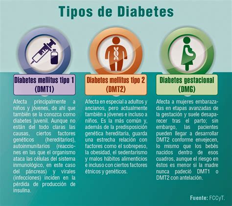 1 Diabetes ¿qué Es Asociación De Diabéticos De Ferrolterra