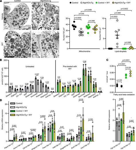 Pparα Agonist Rescues The Mitochondrial Club Cell Phenotype Of