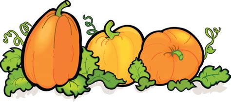 Royalty Free Pumpkin Patch Clip Art Vector Images And Illustrations Istock