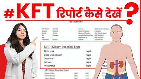 Kft Test Report Kaise Dekhe Kft Test Kya Hota Hai Kidney Function