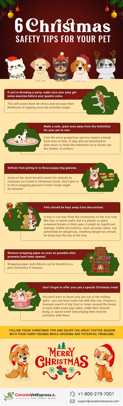 6 Christmas Safety Tips For Pets Infographic Best Infographics