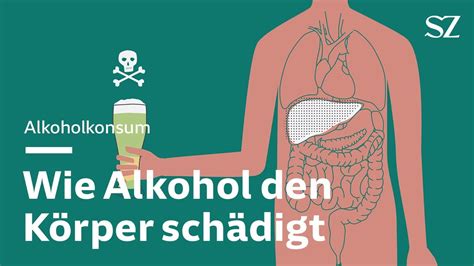 Alkohol Wie Alkohol Den K Rper Sch Digt Youtube