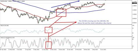 Best MT5 Indicators - The Forex Geek