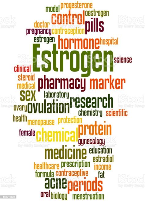 Estrogen Word Cloud Concept 5 Stock Illustration Download Image Now