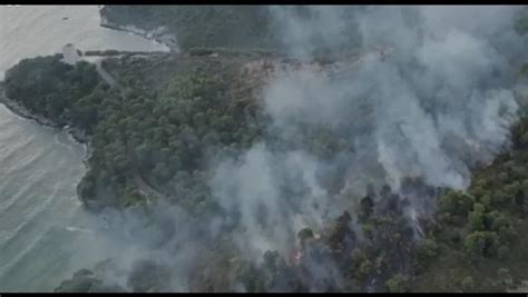 Vasto Incendio Doloso In Un Bosco A Baia San Felice A Vieste Sul