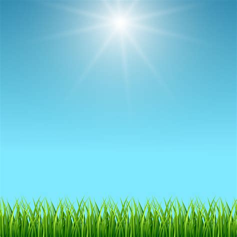 Clean blue sky and green grass vector background By Microvector ...