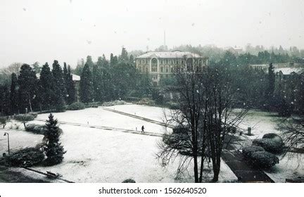 134 Bogazici University Royalty-Free Images, Stock Photos & Pictures | Shutterstock