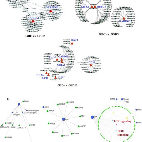 Hub Gene Analysis A Hub Gene Mirna Interactive Networks The Small