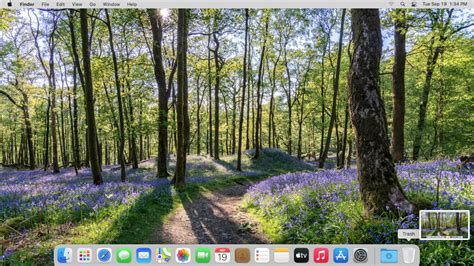 Capturing Moments: A Comprehensive Guide to Screenshots in macOS ...