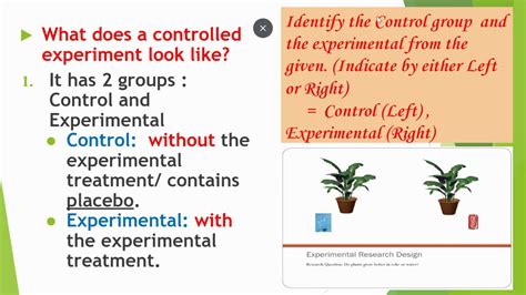 Parts Of A Controlled Experiment