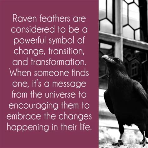 Raven Feather Meaning: 5 Undeniable Symbols of Transformation and ...