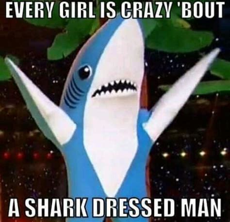 Shark Puns Punpedia