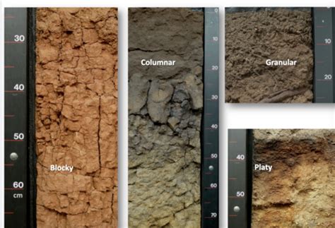 Soil Exam Flashcards Quizlet