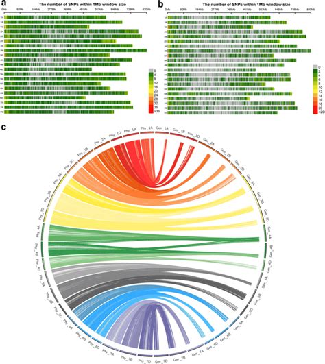 Genome Wide Snp Marker Density On The Basis Of Their Physical Position