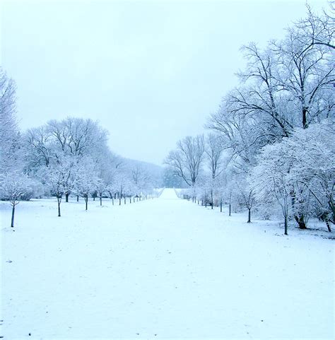 Snowy Day At Crab Apple Alley Stanley Zimny Thank You For Million