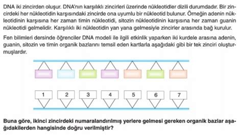 8 Sınıf Fen Bilimleri Dna Ve Genetik Kod Ünite Tekrar Testi Test Çöz