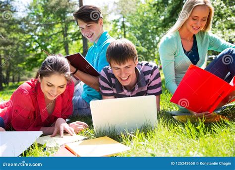 Grupo De Estudiantes Que Estudian Junto Foto De Archivo Imagen De