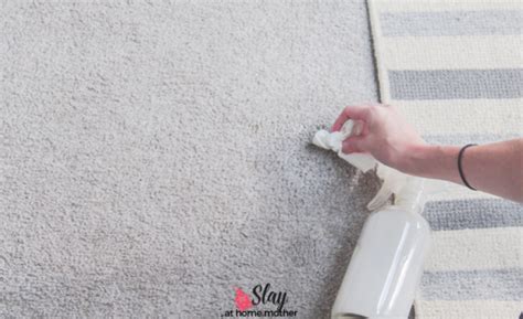 DIY Carpet Cleaning Solution How To Spot Clean Carpet