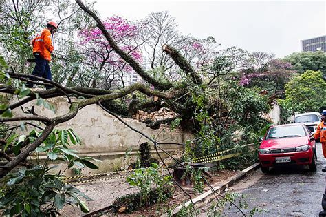 Rvore Cai E Derruba Muro Do Cemit Rio Da Consola O Em Sp