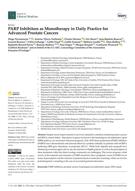 Pdf Parp Inhibitors As Monotherapy In Daily Practice For Advanced