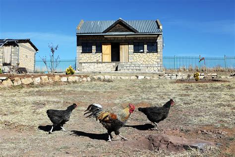 Photo Essay The Journey To Health Care In Rural Lesotho Partners In