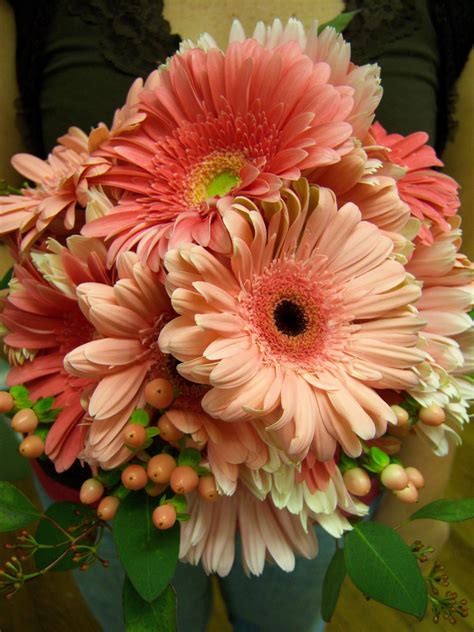 Gerbera Daisies Bouquet Bridal Bouquet Coral Daisy Bridal Bouquet