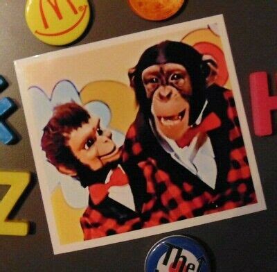 Lancelot Link Fridge Magnet Gift Ventriloquist Secret Chimp Spy Monkey