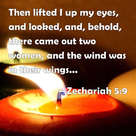 Zechariah 5:9 Then lifted I up my eyes, and looked, and, behold, there came out two women, and ...