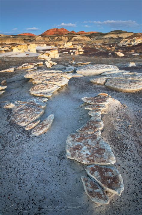 Bisti Badlands, New Mexico - Alan Majchrowicz Photography