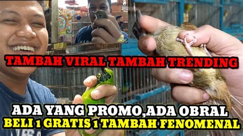 TAMBAH VIRAL SAJA KIOS SENDI INI CEK HARGA BURUNG TERBARU DIPASAR