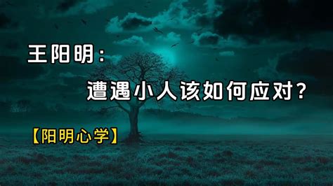 【阳明心学】｜王阳明在人生三个阶段遭遇小人是如何应对的？｜王阳明 ｜幻灯读书 Youtube