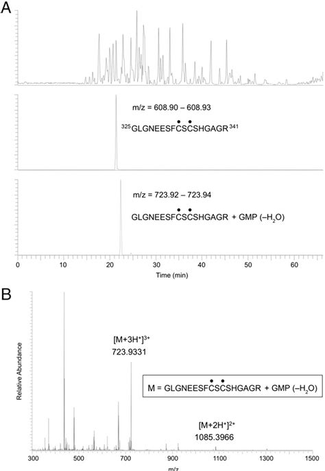 Figure From Rna Ligase Rtcb Splices Phosphate And Oh Ends Via