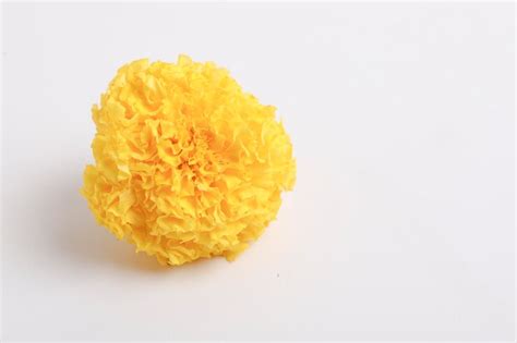 Premium Photo | Marigold flower for dasara festival indian festival ...