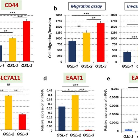 Expression Of MRNA For CD44 A SLC7A11 C EAAT1 D And EAAT2 E