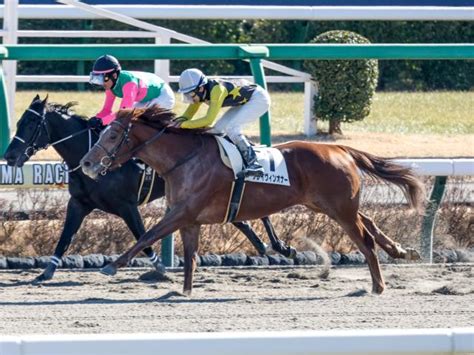 【中山4r新馬戦結果】ヘニーヒューズ産駒クレイヴィンオナーがv 競馬ニュース Netkeiba