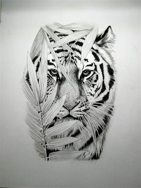 Desenho de tigre realista estilo tattoo - Tiger realistic drawing em 2022 | Desenho, Tigre ...