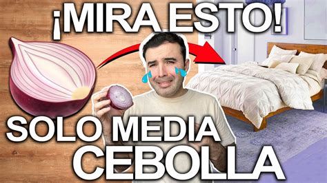 MEDIA CEBOLLA DEBAJO DE TU CAMA Para Que Sirve YouTube