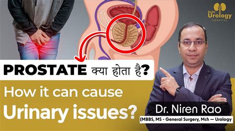 Enlarged Prostate Signs And Symptoms Prostate Cancer Treatment In Delhi Delhi Urology Hospital