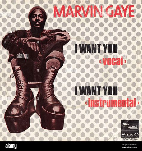 Marvin Gaye - I want you (vocal & instrumental) 45rpm - Vintage Vinyl Record Cover Stock Photo ...