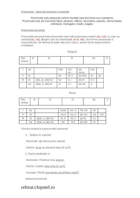 DOC Pronumele Tipuri De Pronume Si Exemple DOKUMEN TIPS