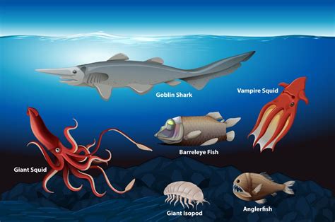 Explore the Depths: 15 Astonishing Undersea Creatures Revealed