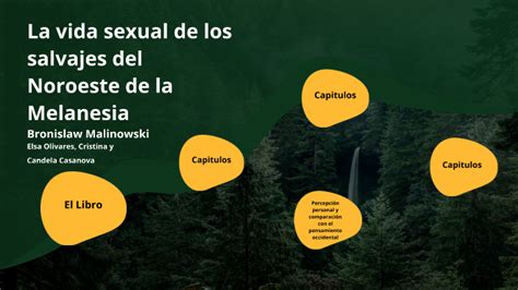 La Vida Salvaje De Los Salvajes Del Noroeste De La Melanesia By Candela