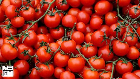 Unique Tomatoes That Grow In Clusters