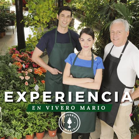 Experiencia En Vivero Mario Comprar En Vivero Mario