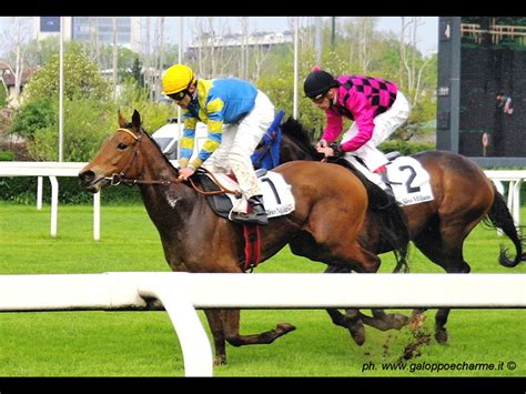 Domenica 21 04 2013 Ippodromo San Siro Milano Galoppo La Scuderia